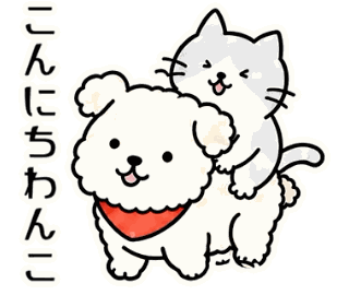 こんにちわんこ